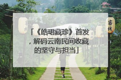 《皓珺藏珍》首发，解码云南民间收藏的坚守与担当