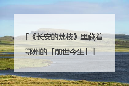 《长安的荔枝》里藏着鄂州的「前世今生」