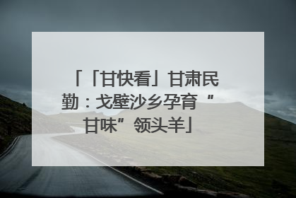 「甘快看」甘肃民勤：戈壁沙乡孕育“甘味”领头羊