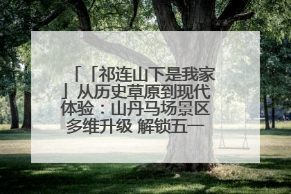 「祁连山下是我家」从历史草原到现代体验：山丹马场景区多维升级 解锁五一文旅新玩法