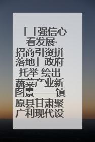 「强信心 看发展·招商引资拼落地」政府托举 绘出蔬菜产业新图景——镇原县甘肃聚广利现代设施蔬菜种植基地见闻