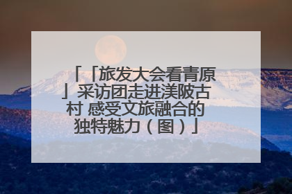 「旅发大会看青原」采访团走进渼陂古村 感受文旅融合的独特魅力（图）