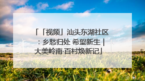 「视频」汕头东湖社区：乡愁归处 希望新生｜大美岭南·百村焕新记