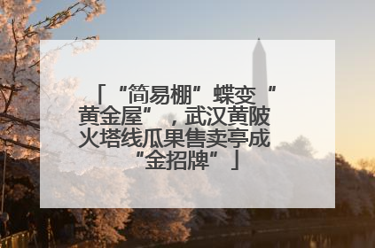 “简易棚”蝶变“黄金屋”，武汉黄陂火塔线瓜果售卖亭成“金招牌”