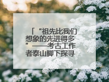 “祖先比我们想象的先进得多”——考古工作者泰山脚下探寻中华文明起源