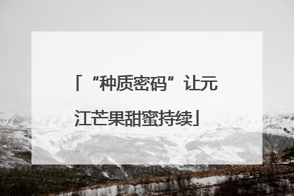 “种质密码”让元江芒果甜蜜持续