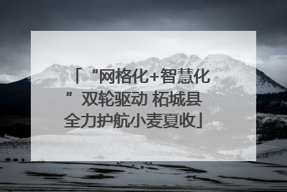 “网格化+智慧化”双轮驱动 柘城县全力护航小麦夏收