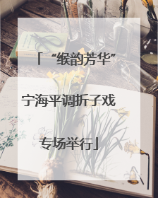 “缑韵芳华”宁海平调折子戏专场举行