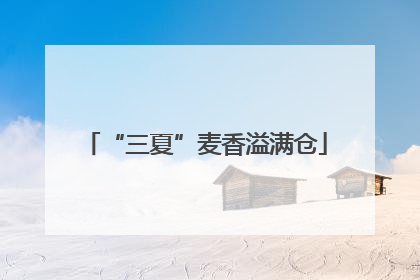 “三夏”麦香溢满仓