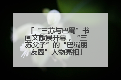 “三苏与巴蜀”书画文献展开幕，“三苏父子”的“巴蜀朋友圈”人物亮相