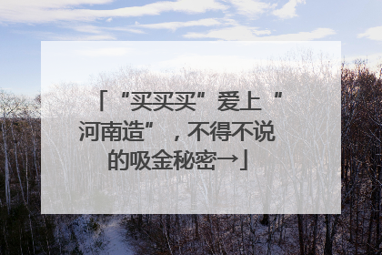 “买买买”爱上“河南造”，不得不说的吸金秘密→