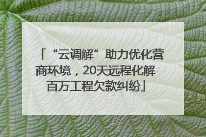 “云调解”助力优化营商环境，20天远程化解百万工程欠款纠纷