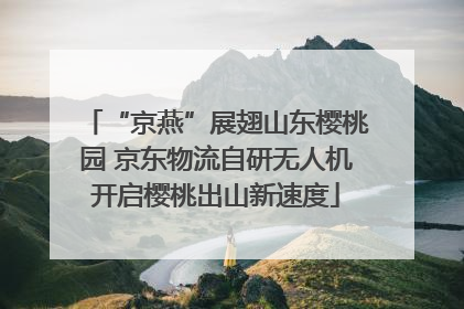 “京燕”展翅山东樱桃园 京东物流自研无人机开启樱桃出山新速度