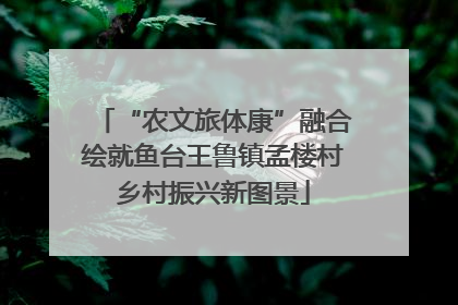 “农文旅体康”融合绘就鱼台王鲁镇孟楼村乡村振兴新图景