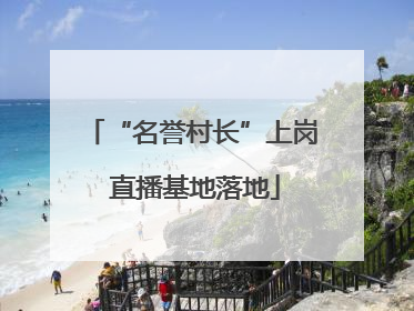 “名誉村长”上岗 直播基地落地