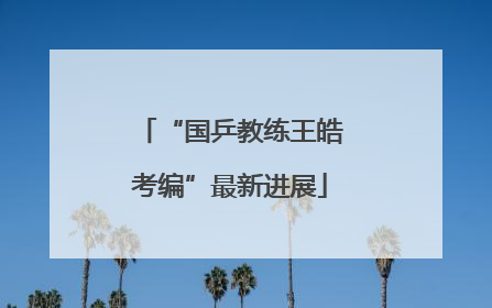 “国乒教练王皓考编”最新进展