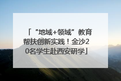 “地域+领域”教育帮扶创新实践！金沙20名学生赴西安研学