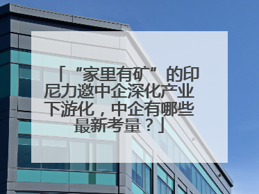 “家里有矿”的印尼力邀中企深化产业下游化，中企有哪些最新考量？