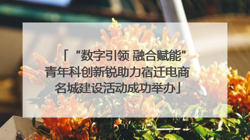“数字引领 融合赋能”青年科创新锐助力宿迁电商名城建设活动成功举办