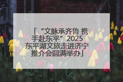 “文脉承齐鲁 携手赴东平”2025东平湖文旅走进济宁推介会圆满举办