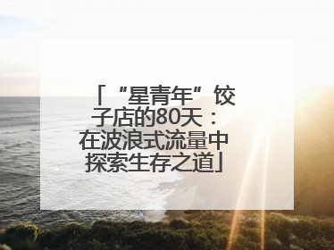 “星青年”饺子店的80天：在波浪式流量中探索生存之道