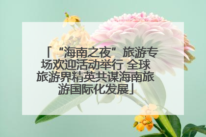 “海南之夜”旅游专场欢迎活动举行 全球旅游界精英共谋海南旅游国际化发展