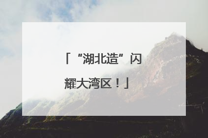 “湖北造”闪耀大湾区！