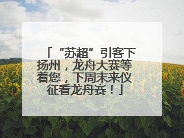“苏超”引客下扬州，龙舟大赛等着您，下周末来仪征看龙舟赛！