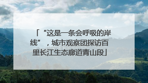“这是一条会呼吸的岸线”，城市观察团探访百里长江生态廊道青山段
