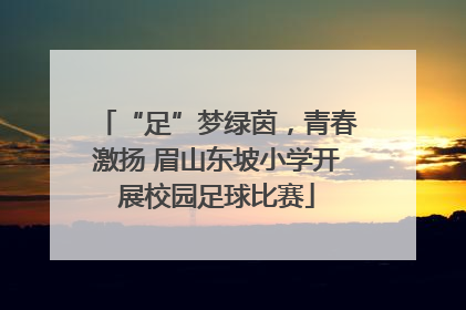 “足”梦绿茵，青春激扬 眉山东坡小学开展校园足球比赛