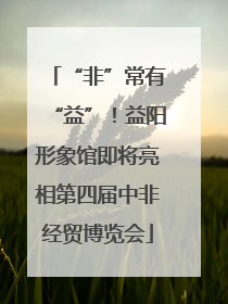 “非”常有“益”！益阳形象馆即将亮相第四届中非经贸博览会