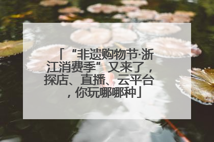 “非遗购物节·浙江消费季”又来了，探店、直播、云平台，你玩哪哪种