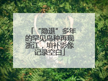 “隐退”多年的罕见鸟种再现浙江，填补影像记录空白