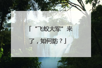 “飞蚁大军”来了，如何防？