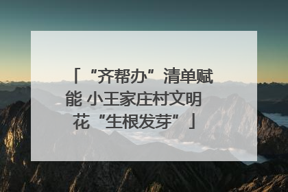 “齐帮办”清单赋能 小王家庄村文明花“生根发芽”