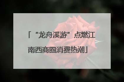 “龙舟溪游”点燃江南西商圈消费热潮