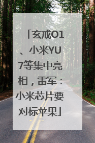 玄戒O1、小米YU7等集中亮相，雷军：小米芯片要对标苹果