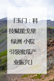 玉门：科技赋能戈壁绿洲 小院引领蜜瓜产业振兴
