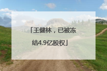 王健林，已被冻结4.9亿股权