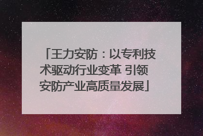 王力安防：以专利技术驱动行业变革 引领安防产业高质量发展