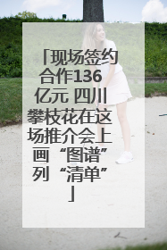 现场签约合作136亿元 四川攀枝花在这场推介会上画“图谱”列“清单”