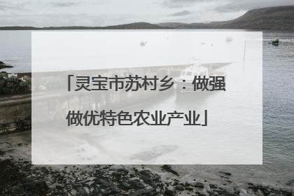 灵宝市苏村乡：做强做优特色农业产业