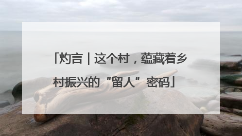 灼言｜这个村，蕴藏着乡村振兴的“留人”密码