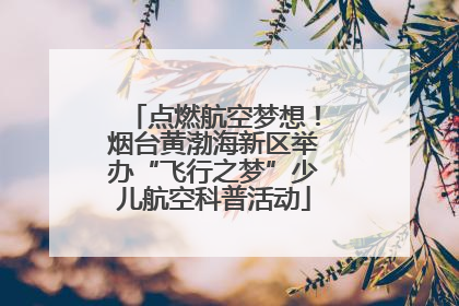 点燃航空梦想！烟台黄渤海新区举办“飞行之梦”少儿航空科普活动