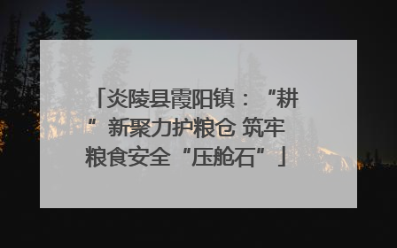 炎陵县霞阳镇：“耕”新聚力护粮仓 筑牢粮食安全“压舱石”