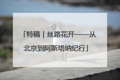特稿｜丝路花开——从北京到阿斯塔纳纪行