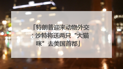 特朗普迎来动物外交：沙特将送两只“大猫咪”去美国首都