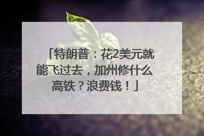 特朗普：花2美元就能飞过去，加州修什么高铁？浪费钱！