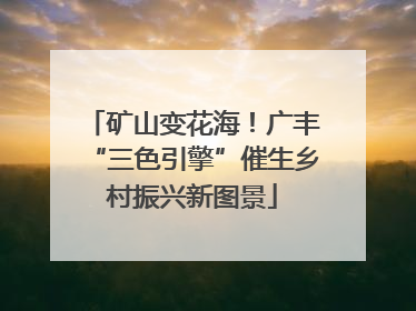 矿山变花海！广丰“三色引擎”催生乡村振兴新图景