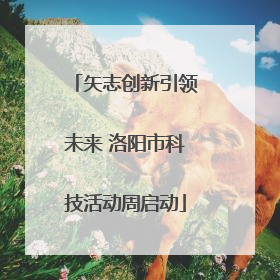 矢志创新引领未来 洛阳市科技活动周启动
